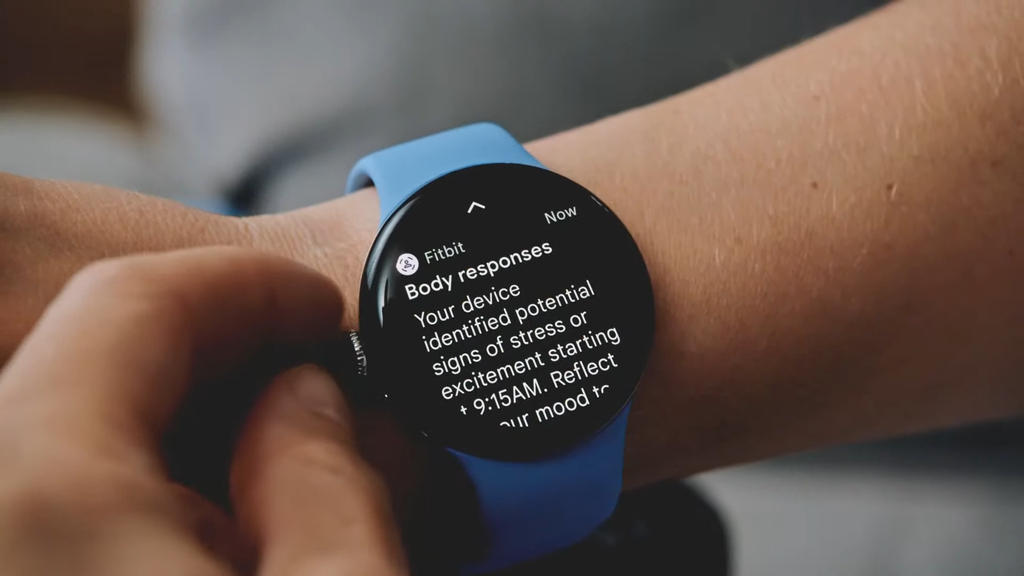 Novos recursos de saúde da Fitbit são destaque (Imagem: Divulgação/Google)