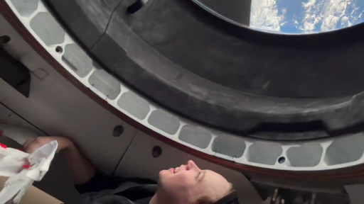 Vídeo mostra como foi ver a Terra pelo domo transparente da SpaceX pela 1ª vez