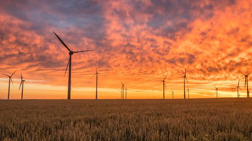Em tempos de coronavírus, como fica a situação da energia limpa?