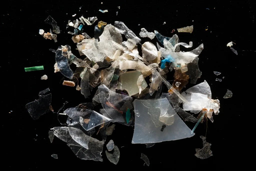 Microplásticos podem vir de diferentes fontes e apresentar vários formatos (Imagem: Reprodução/Chesapeake Bay Program)