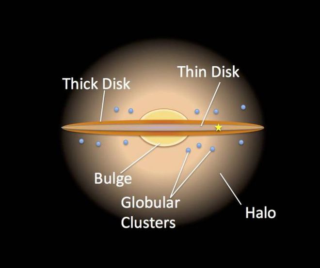 Ilustração da Via Láctea mostrando o disco fino, na parte interior do anel, e grosso, na parte exterior (Imagem NASA/JPL Caltech/R.Hurt/SSC) 