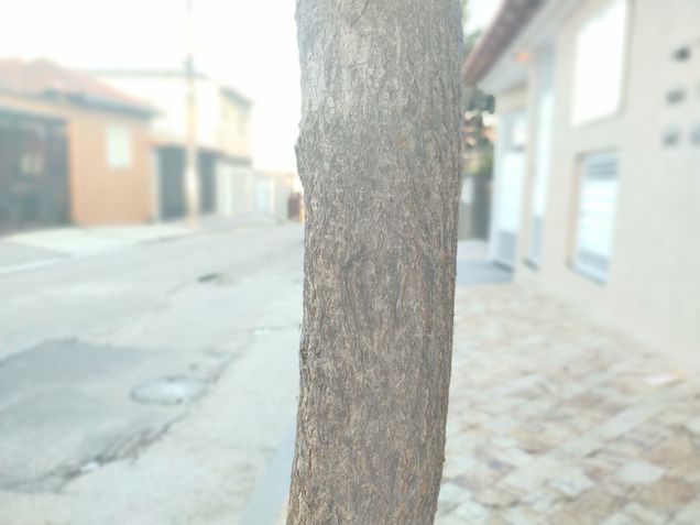 Nokia 5.4 Fotos (principal)