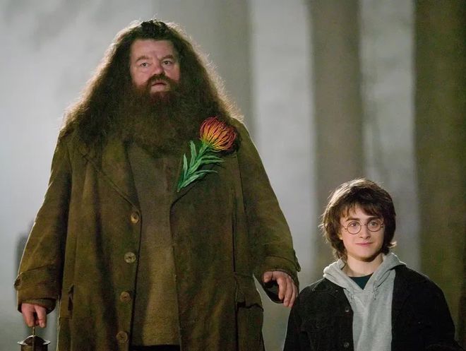 Rúbeo Hagrid, o guarda-caças de Hogwarts, ao lado de seu amigo Harry (Imagem: Divulgação/Warner Bros. Pictures)