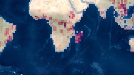 "Mapa da Vida" indica áreas do planeta que podem abrigar espécies desconhecidas