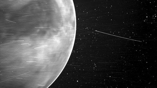 Veja essa incrível foto de Vênus feita pela sonda Parker, que estuda o Sol