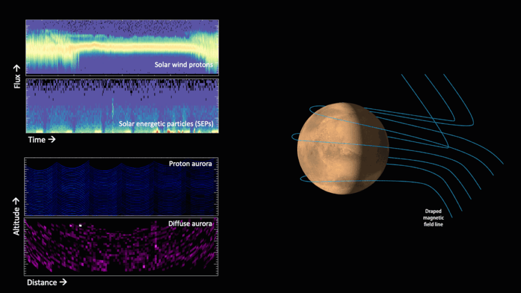 No lado esquerdo, estão os dados da MAVEN que indicam o vento solar, as partículas energética e a intensidade das auroras de prótons e difusa; na direita, está um esquema das partículas chegando ao lado diurno e noturno de Marte (Imagem: Reprodução/LASP/CU Boulder, UC Berkeley) 