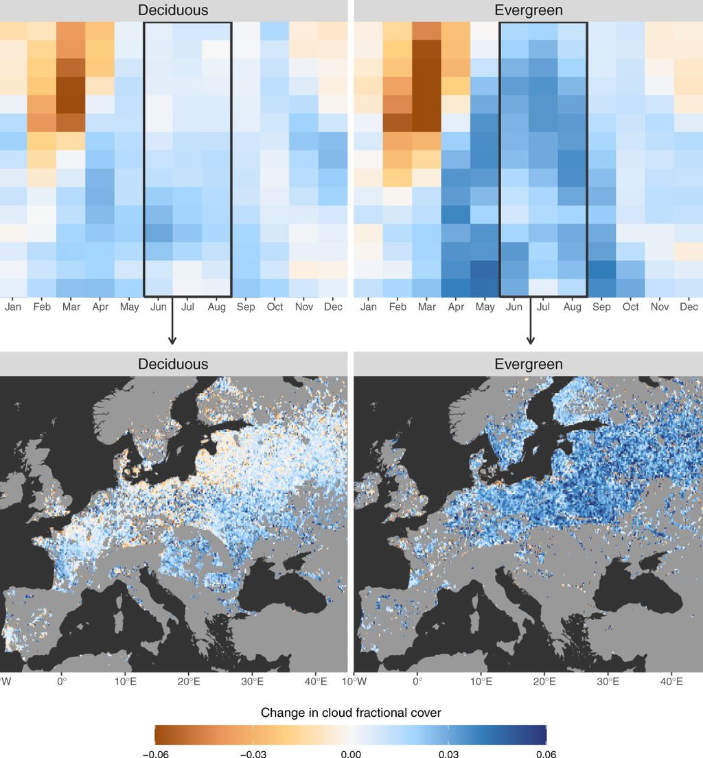 Efeito do reflorestamento na cobertura de nuvens baixas (Imagem: Reprodução/ESA)
