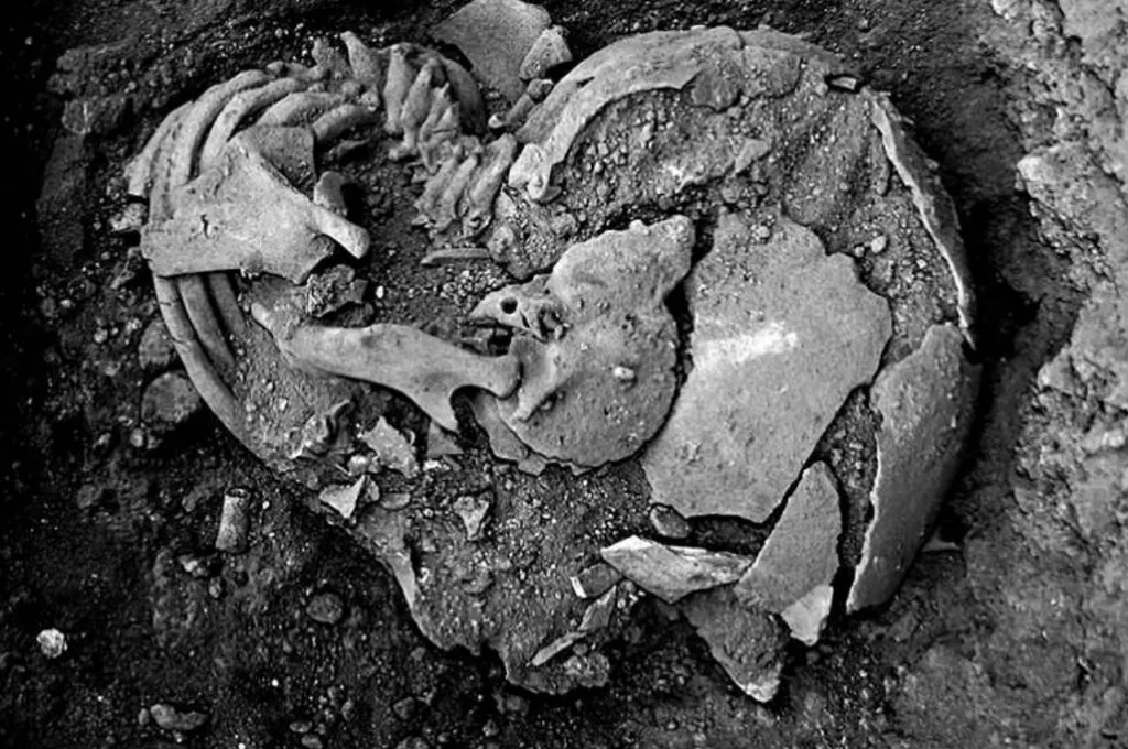 Restos mortais da criança que morreu, há 10 mil anos, de sífilis, aos 4 anos de idade (Imagem: Oliveira et al./International Journal of Osteoarcheology)