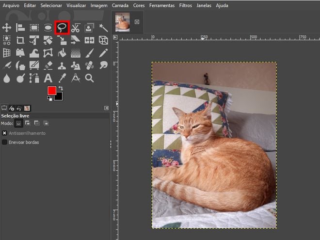 GIMP: suavize e borre imagens com a Ferramenta Borrar! - TecMundo