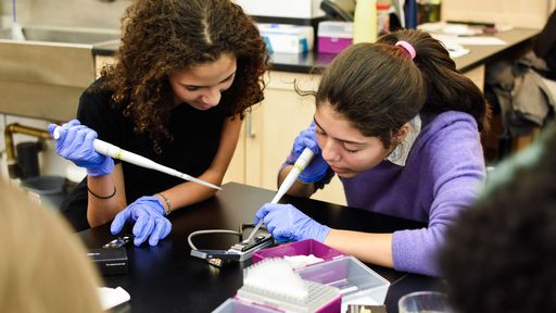 Software torna o sequenciamento de DNA mais acessível e rápido
