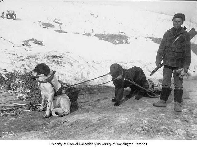 Os cães nativos-americanos quase foram totalmente extintos pelos colonizadores europeus (Imagem: University of Washington Libraries Digital Collections)