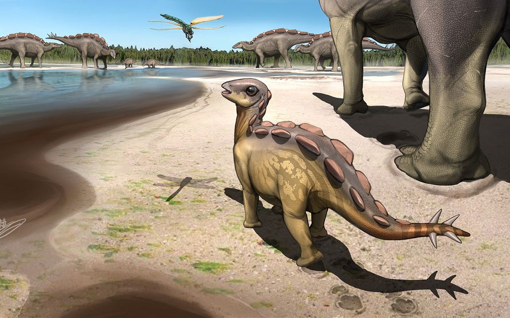 Pegada de Estegossauro do tamanho de pata de gato é descoberta na China
