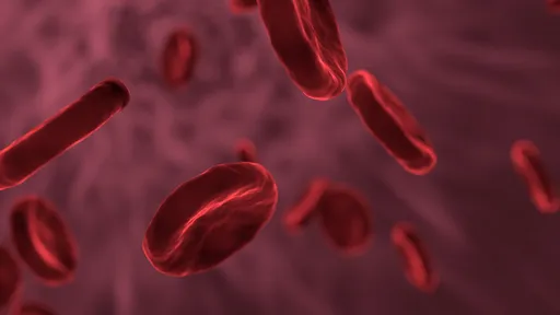 Tipo sanguíneo não afeta risco de contrair COVID-19, diz novo estudo