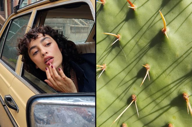 motorola razr fold exemplo de fotos da câmera