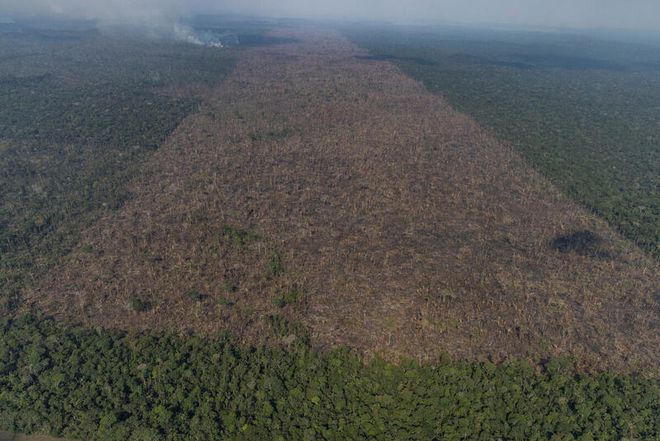 Desmatamento registrado ao sul do Amazonas em setembro de 2021 (Imagem: Reprodução/Victor Moriyama/Amazônia em Chamas/Greenpeace)