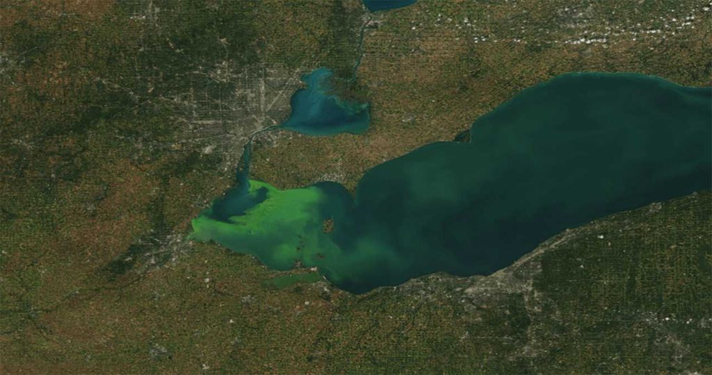 Floração de microalgas no Lago Erie, um dos cinco Grandes Lagos da América do Norte (Imagem: Reprodução/NOAA)