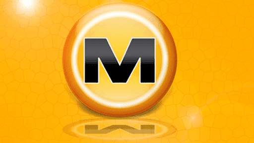 "O Megaupload vai voltar", diz Kim Dotcom