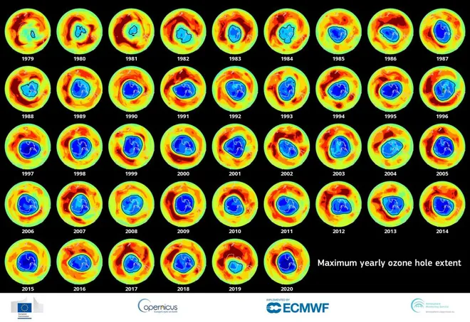 Evolução do buraco na camada de ozônio (Imagem: ECMWF)