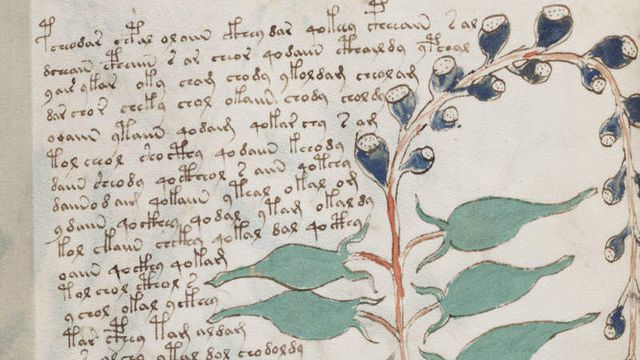 Inteligência artificial ajuda a decifrar manuscrito de mais de 600 anos