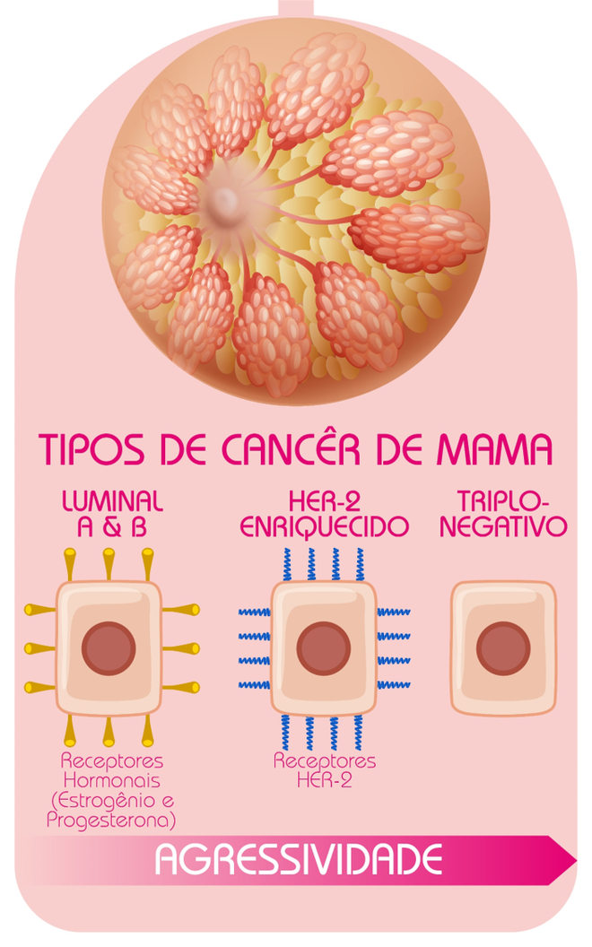 Startup brasileira desenvolve tratamento inédito contra câncer de mama (Imagem: Reprodução/PHP Biotech)