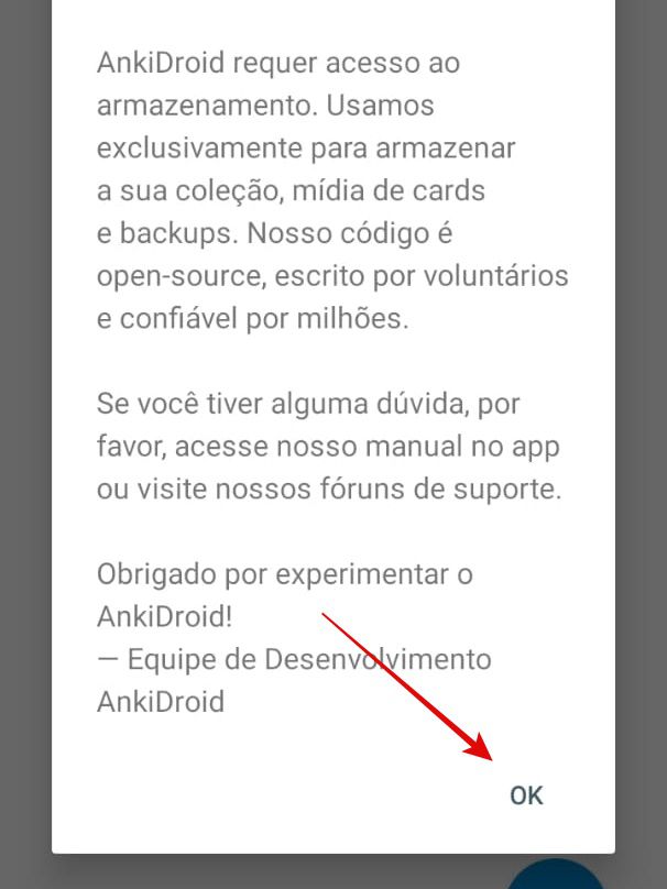 Permita que o app utilize a memória do seu celular (Imagem: Guadalupe Carniel/Captura de tela)
