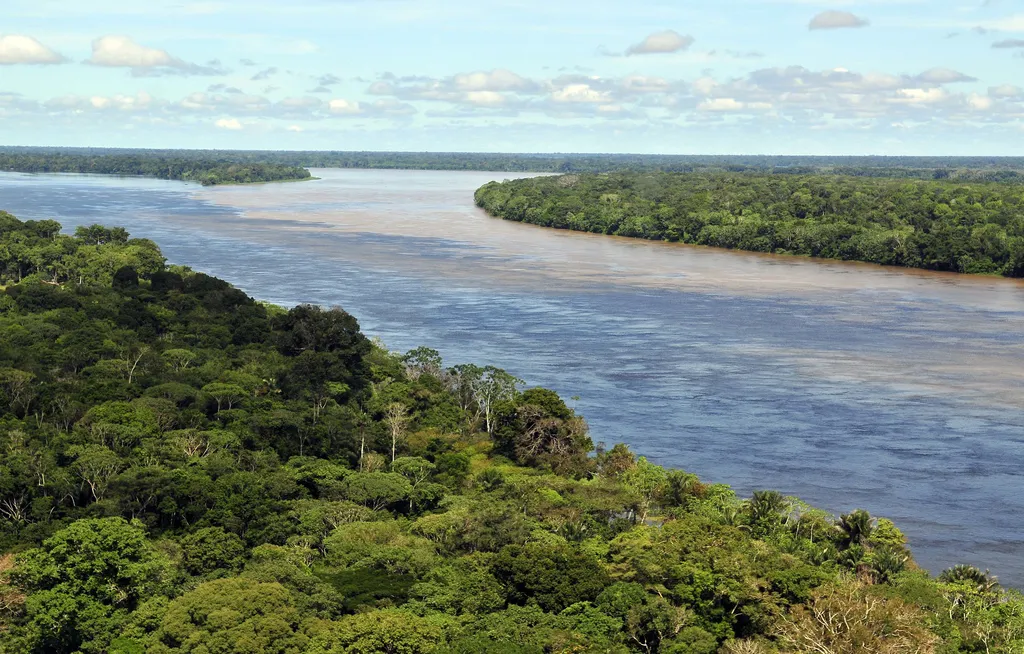 As ilhas que ficam para trás após o alagamento causado por barragens não possuem tanta biodiversidade na Amazônia (Imagem: CIAT/NeilPalmer)