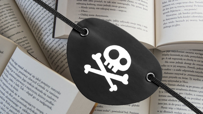 De surpresa, repositório clandestino Anna’s Archive perde domínio .org