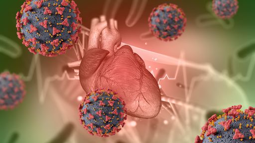 FDA registra risco raro de inflamação cardíaca de vacinas da Pfizer e Moderna