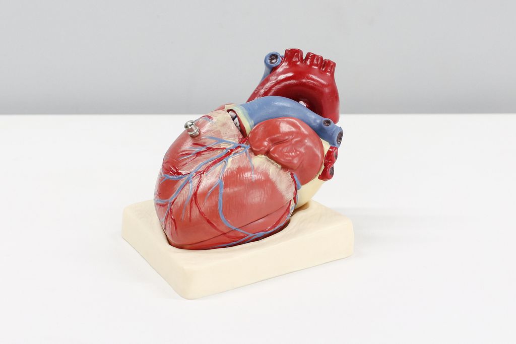 Qual a frequência normal dos nossos batimentos cardíacos?