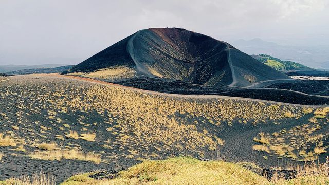 Anastasiia Rozumna/Unsplash