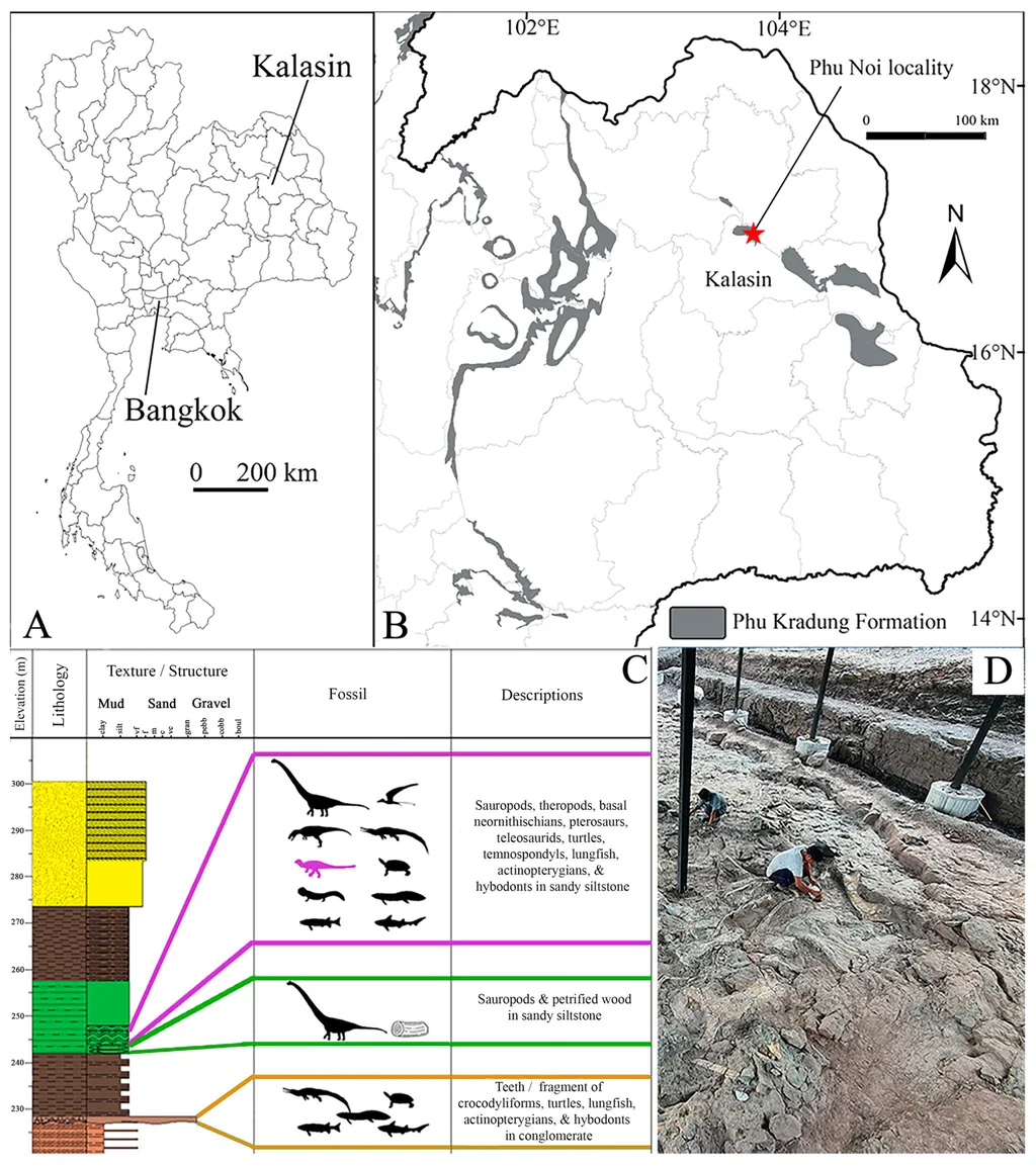 Localização da Formação Kradung na Tailândia e posição do novo dinossauro nos registros fósseis (Imagem: Manitkoon et al./Diversity)