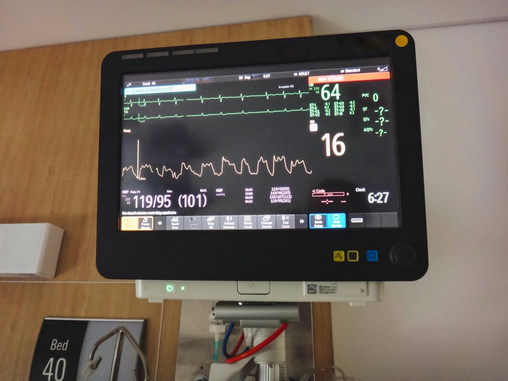 No check-up do coração, é comum fazer um eletrocardiograma (Imagem: Twenty20photos/Envato)