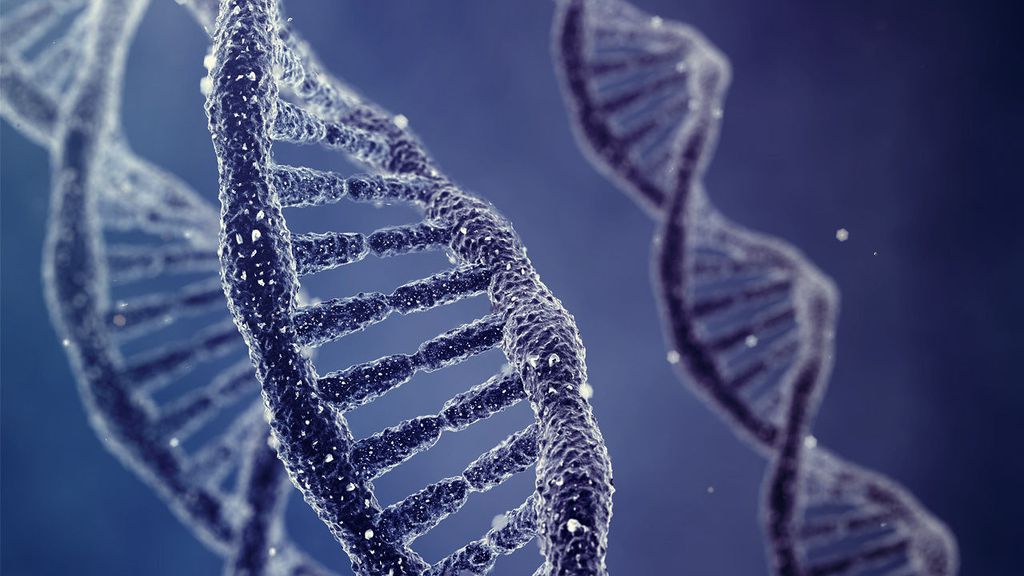 Cientistas procuraram respostas para mudanças do DNA de home, após transplante