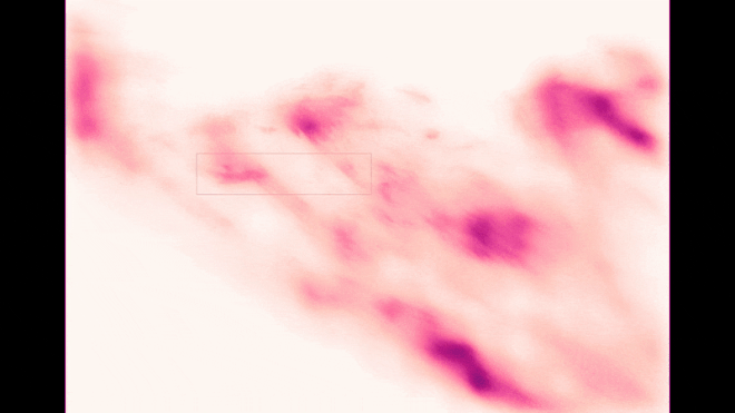 Plasmoide