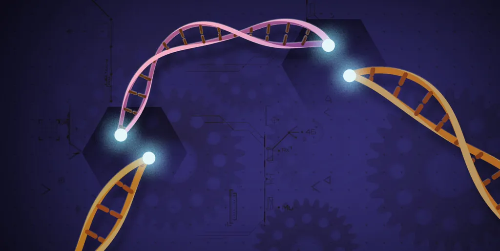 Métodos cada vez mais eficientes de edição genética, como o CRISPR, facilitam o uso do DNA para os mais diversos fins, como a nova técnica de armazenamento de imagem (Imagem: NIH/CC-BY-1.1/Domínio Público)