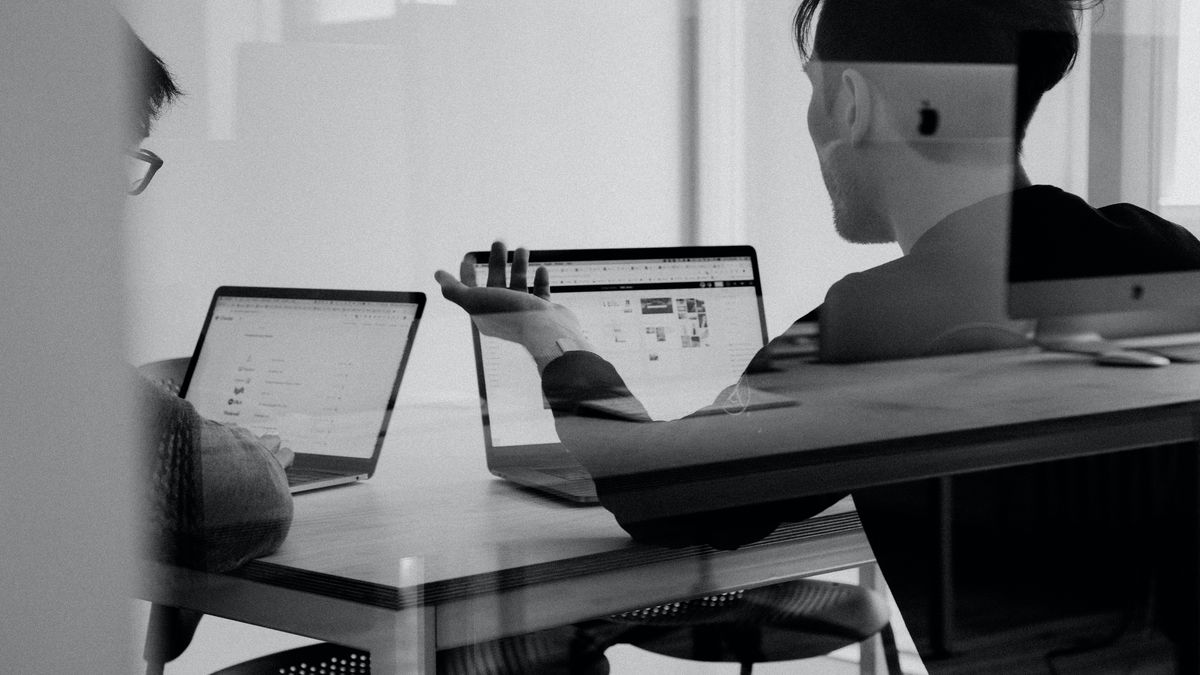 Startups: o que são Pré-seed, Seed, Alpha e Beta?