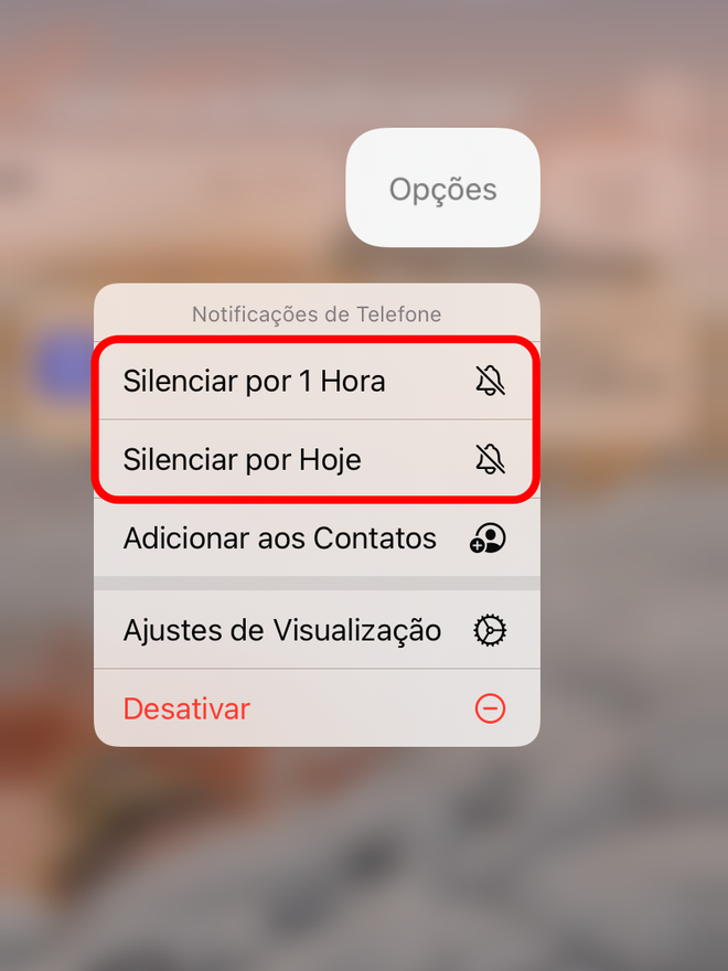 Toque em uma das opções para silenciar a notificação - Captura de tela: Thiago Furquim (Canaltech)