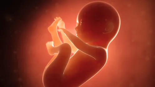 Nascem na China os primeiros bebês com genética editada em laboratório