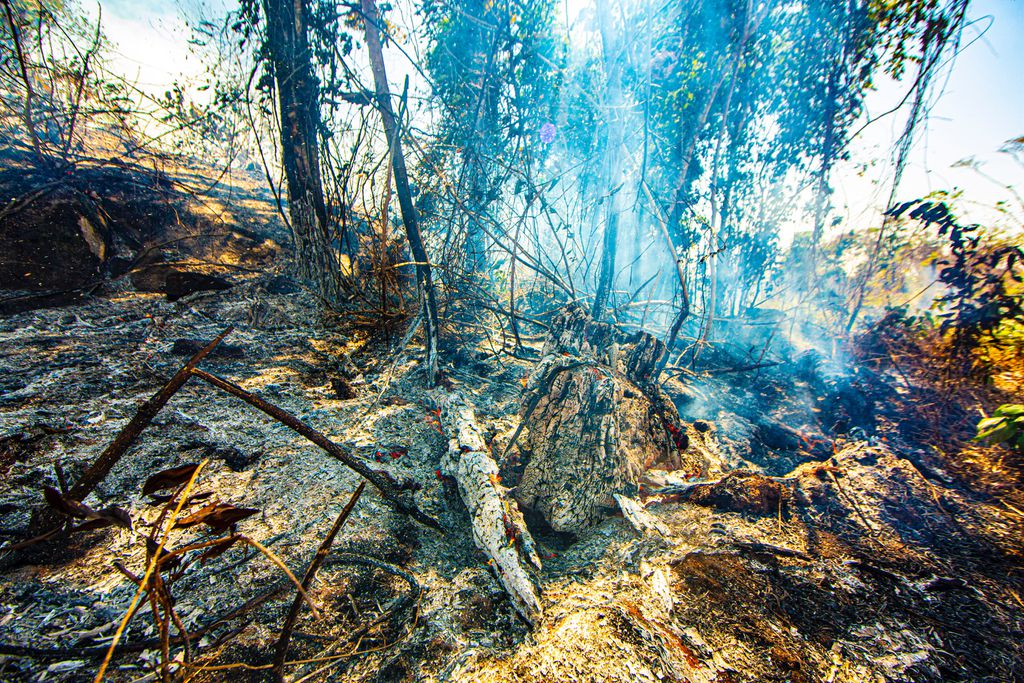 Área desmatada em Apiacás (MT) após ser atingida pelo fogo (Imagem: Reprodução/Ivan Canabrava/Illuminati Filmes/IPAM)