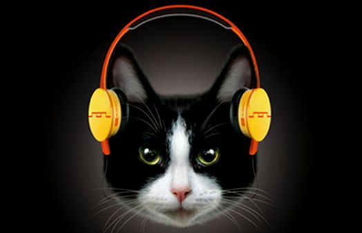 Fones de ouvido para gatos Fones de ouvido para gatos