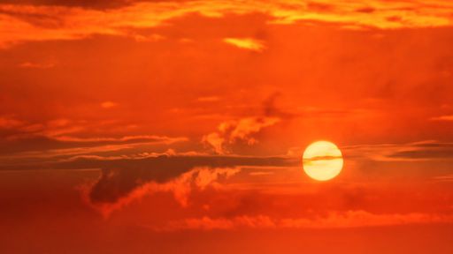 Altas temperaturas e hipertermia: é possível morrer de calor?