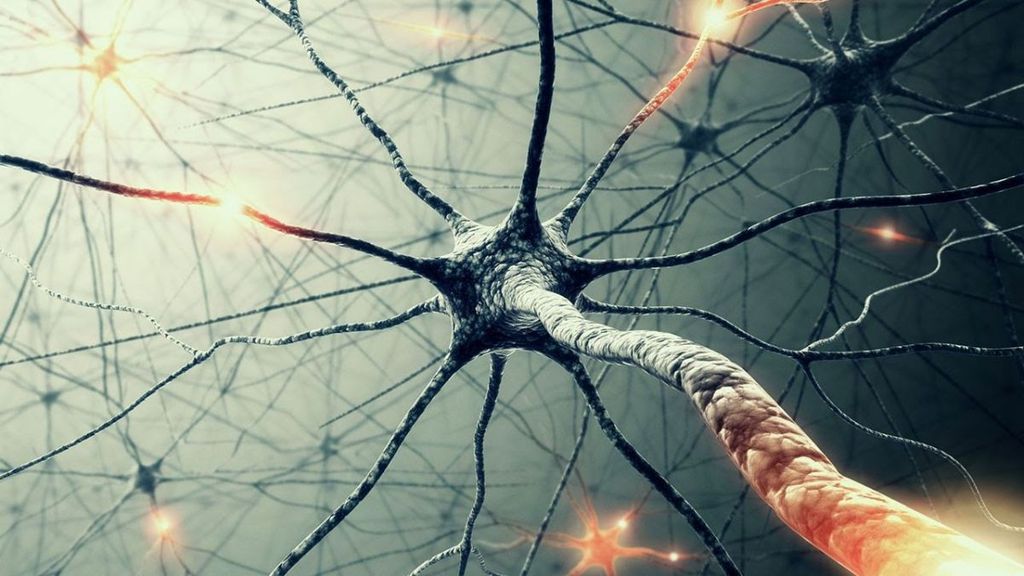 Novo algoritmo tem redes neurais mais complexas (Imagem: Reprodução)