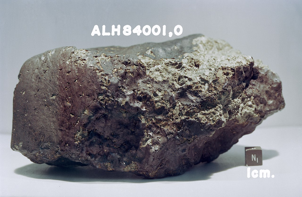 Meteorito Allan Hills 84001, encontrado na Antártida em 1984 (Imagem: Domínio público)