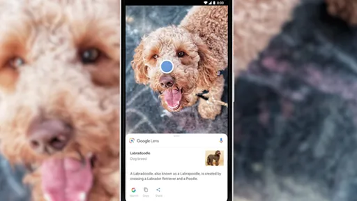 Google Lens agora é um aplicativo independente