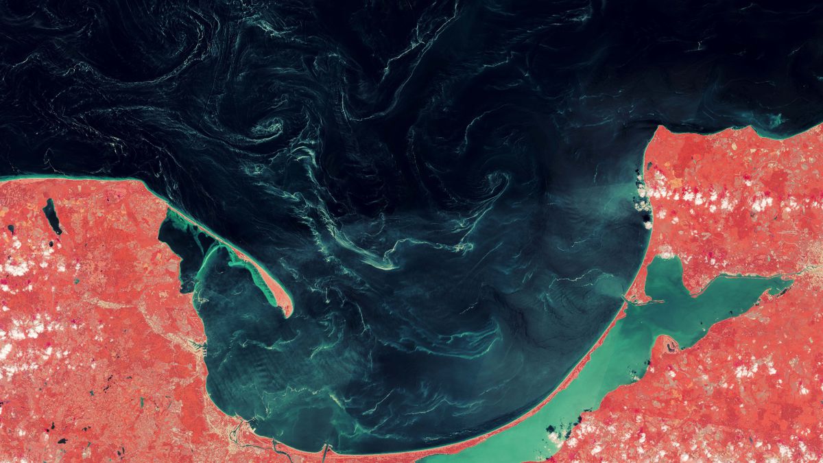 Cientistas descobrem o que era a gosma misteriosa na superfície do Mar Báltico