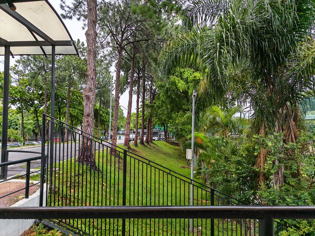 Honor Magic V5 - Teste de c&acirc;meras