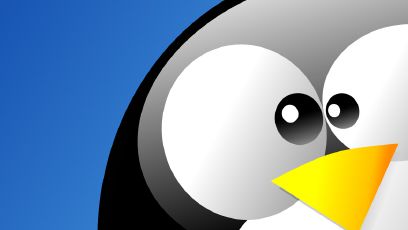 Para ser mais inclusiva, comunidade Linux adota código de conduta