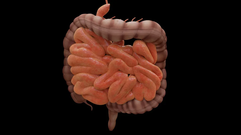 Bactérias do intestino podem provocar ganho de peso (Imagem: JimCoote/Pixabay)