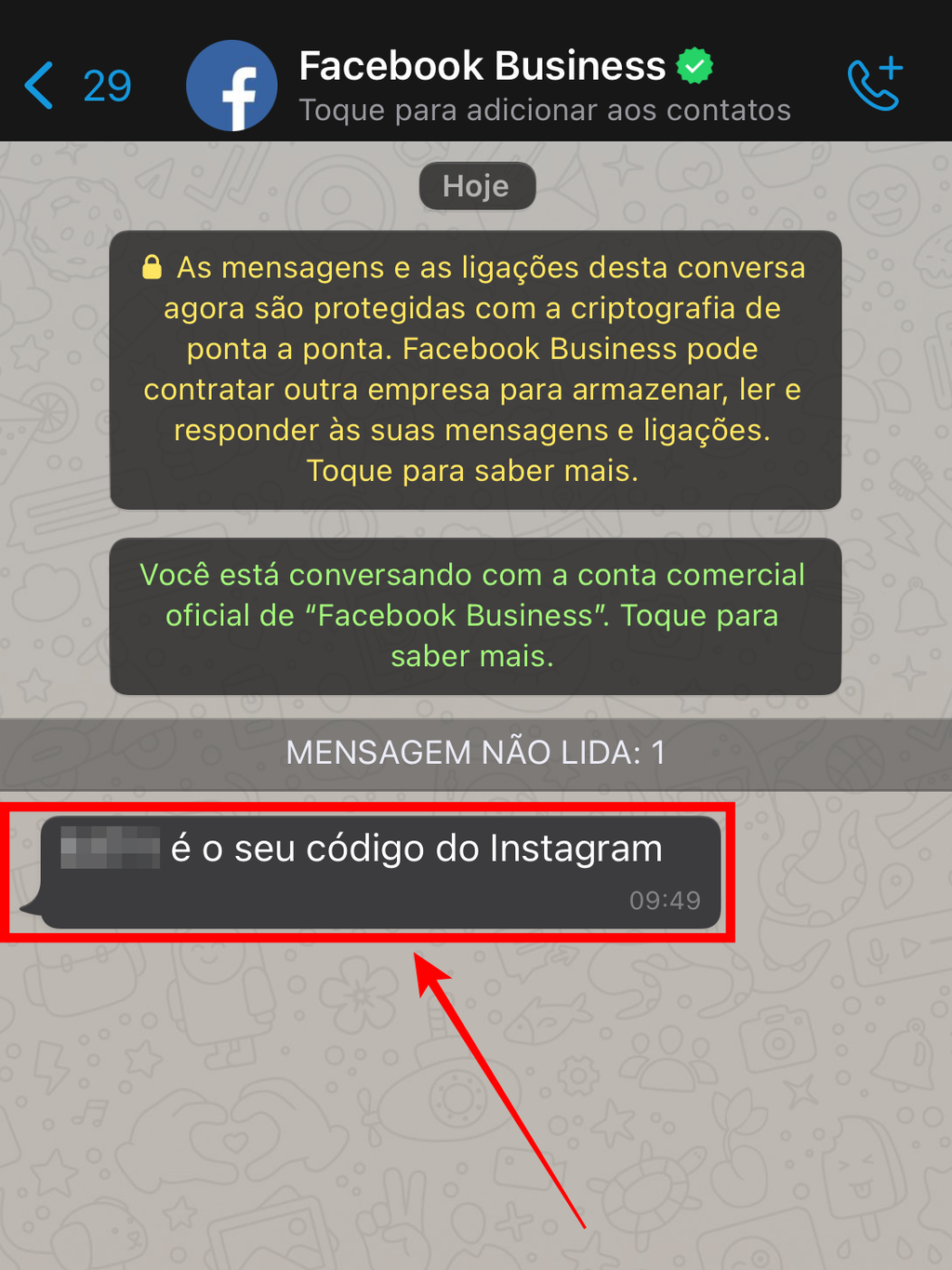 Guarde o código de cinco dígitos recebido via mensagem no WhatsApp Business (Captura de tela: Caio Carvalho/Canaltech)