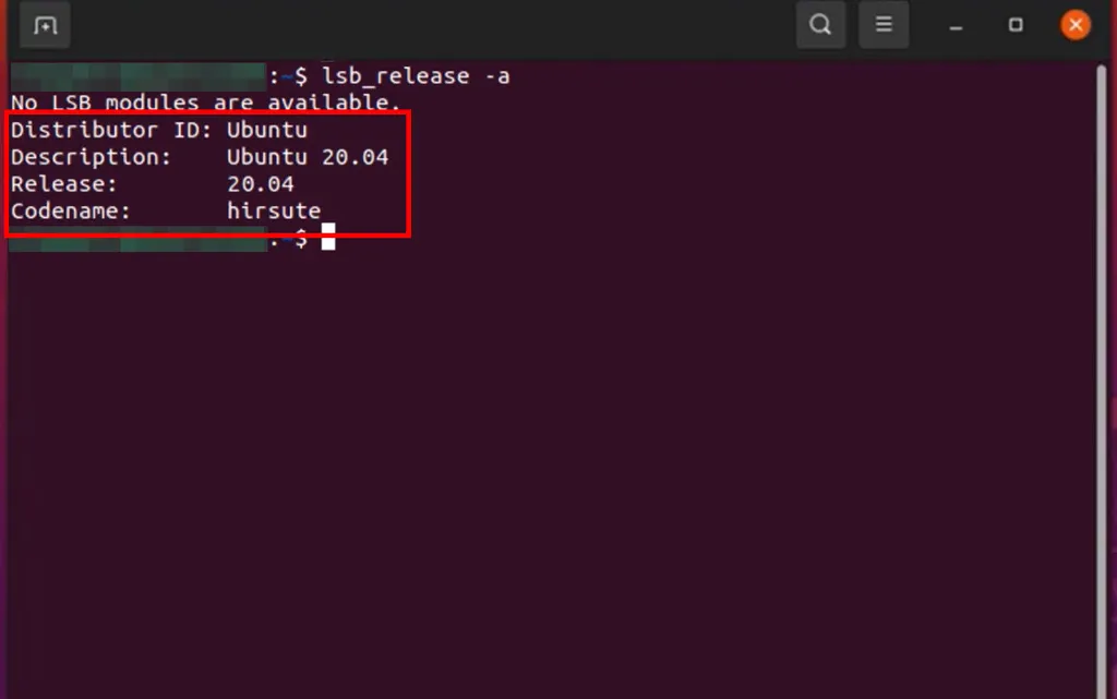Veja como saber a versão do Linux usando o comando "lesb_release" no terminal (Captura de tela: Matheus Bigogno)